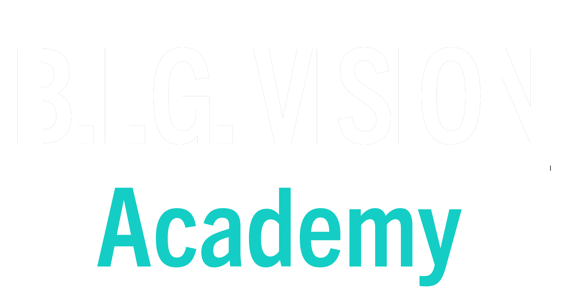 BigVision Academy